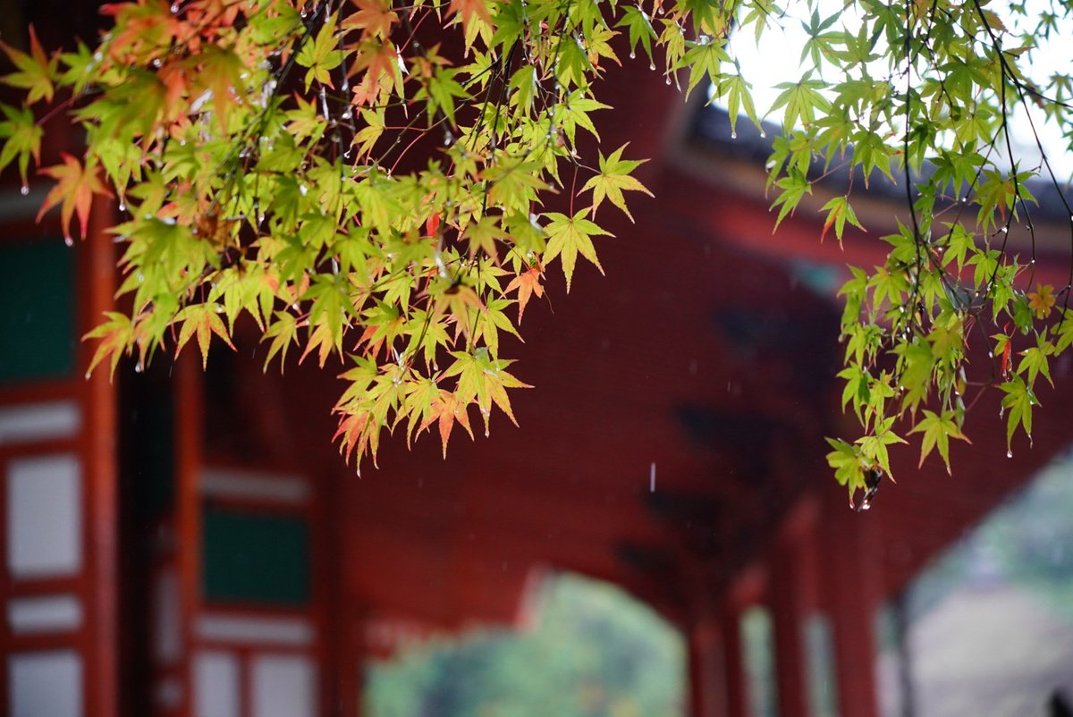 高野山真言宗 遺跡本山 観心寺 on X
