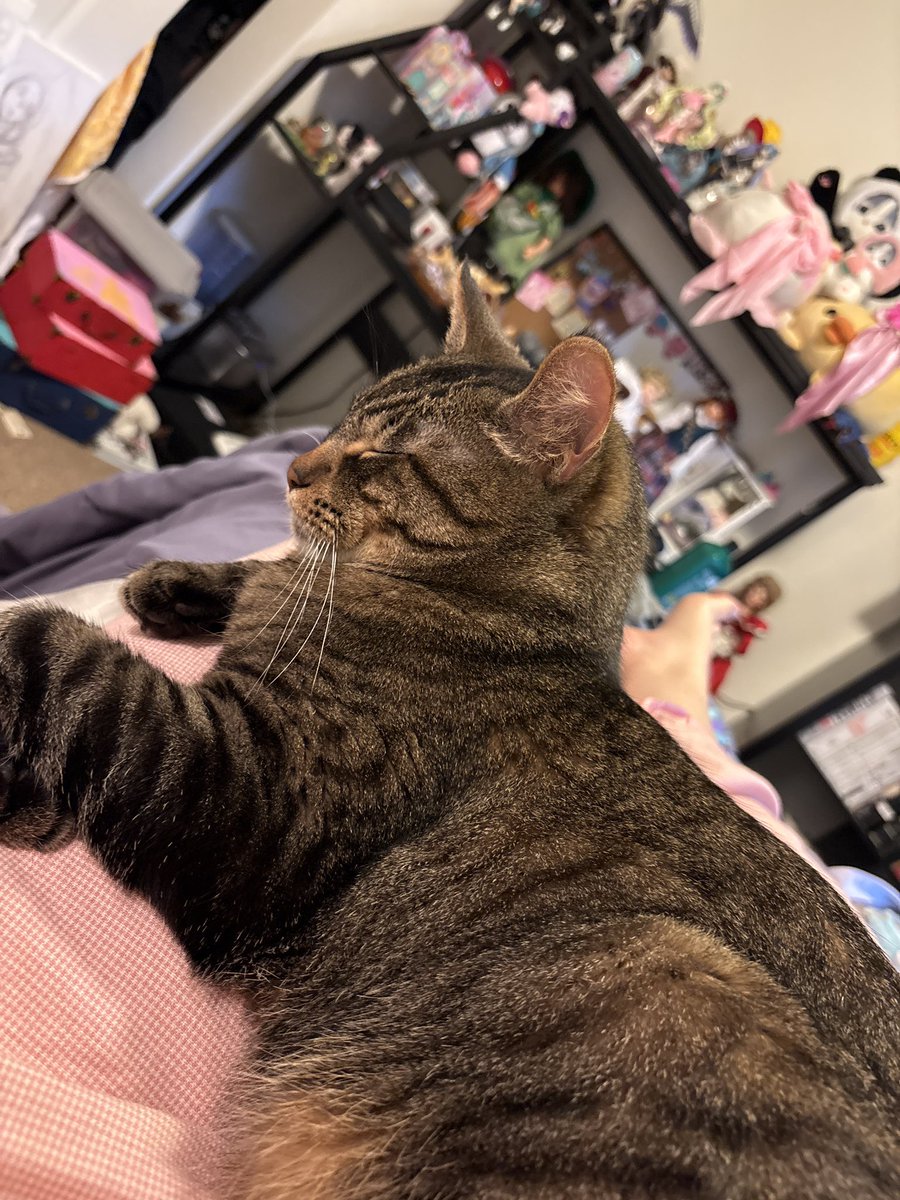 Basil (@Basil53590) / Posts / X