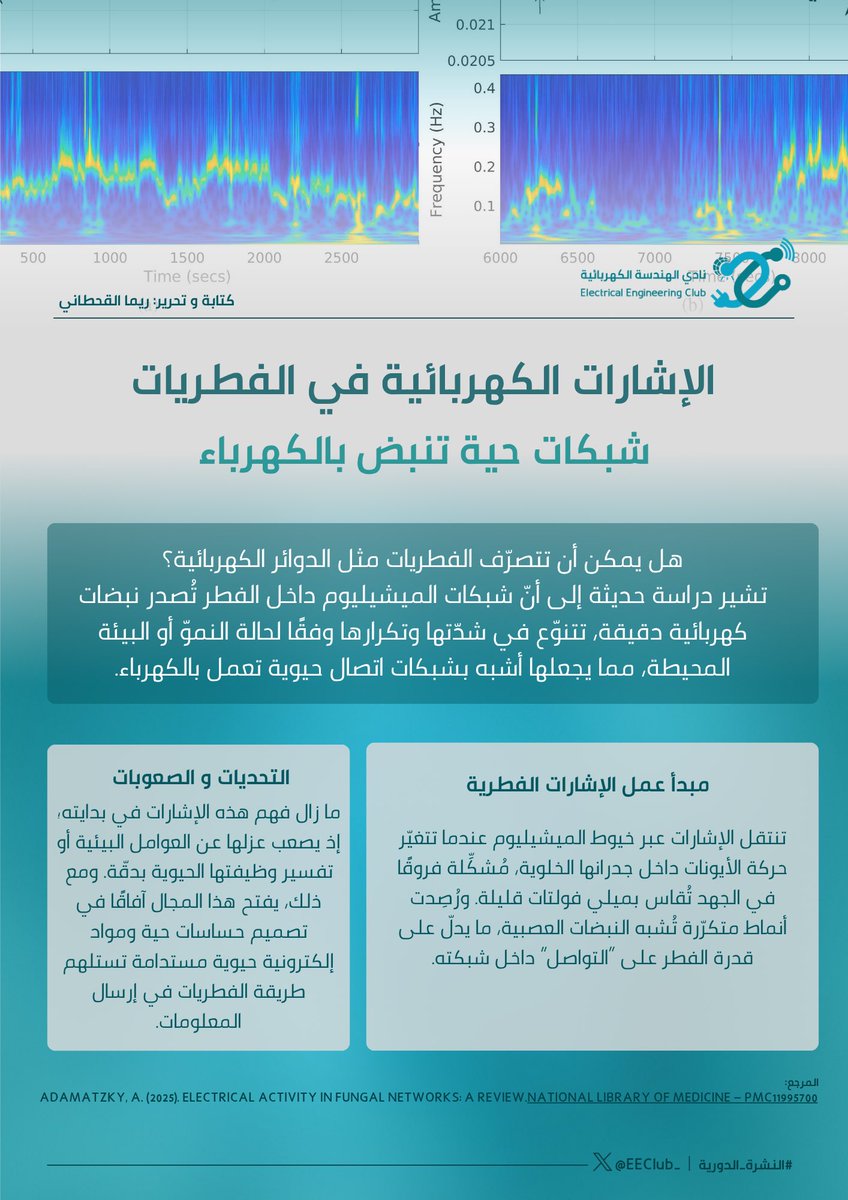 Electrical Engineering Club tweet media