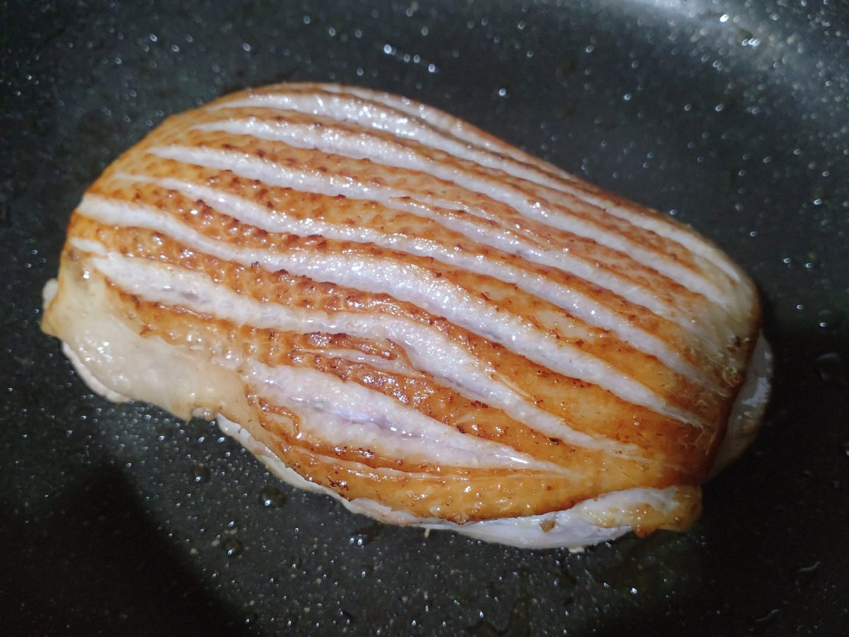 なーこ Harsee8.6kg【くま吉さま】 on X