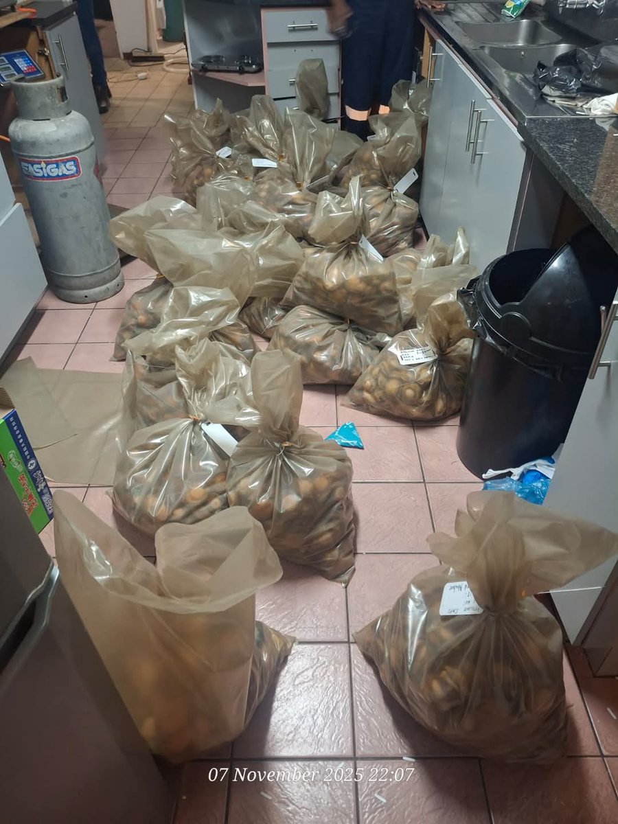 LadyAbahambe's tweet image. An intelligence driven operation, conducted by members of Operation Lockdown III and the Endangered Species K9 Unit, led to the arrest of Chinese and Malawian nationals for the possession of #abalone on Friday, 07 November 2025, in Amazon Street, Primrose Park in the Western