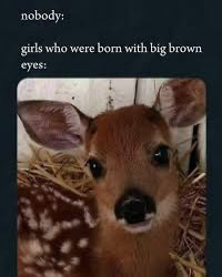 sab 🦊 tlou spoilers (@sunflwrpascal) on Twitter photo 