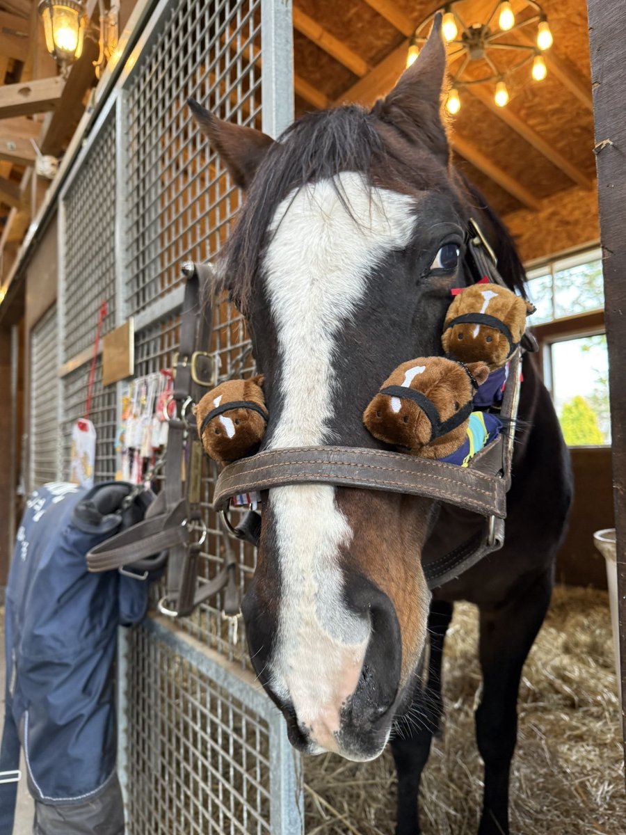 SmokedPancakes's tweet image. me and my trainee after successfully grabbing many cuties from the crane game