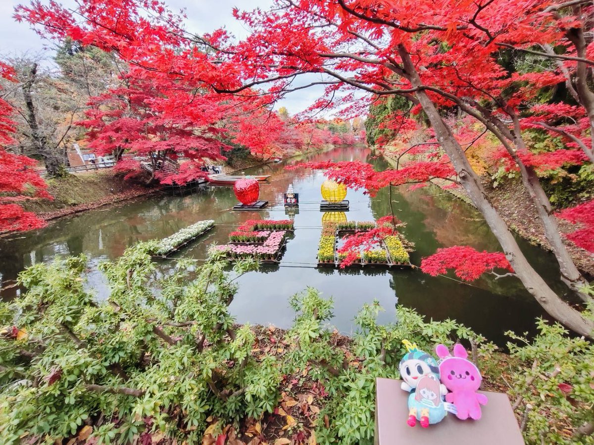 NeJo5gi_i's tweet photo. #弘前城菊と紅葉まつり
いゃ〜綺麗だわ🍁
次回は家族で観光に来ようと
#ライスボール
#Apua https://t.co/LdrFCphkAS
