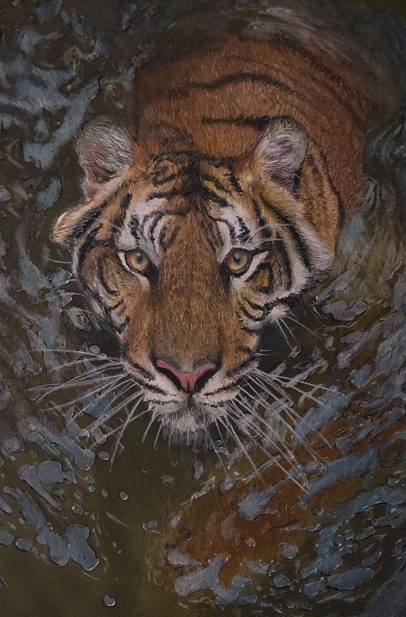 そんな感じの色鉛筆画 (@sonnakanjidesu) / Posts / X