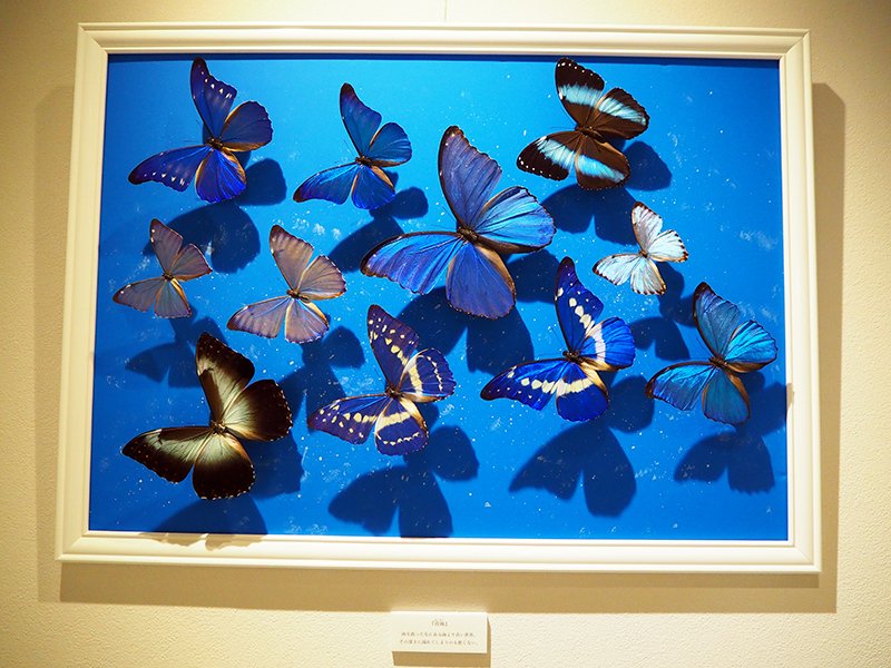 ギャルリー・ジュイエ on X