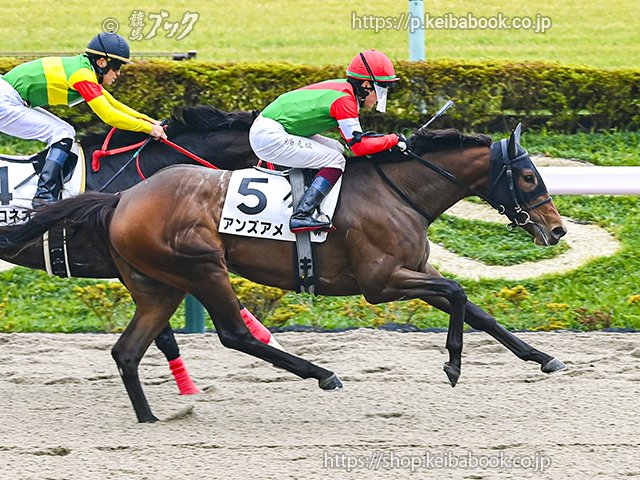 ヒダカブリーダーズユニオン 競馬勝負服 ユニオンオーナーズクラブ公式