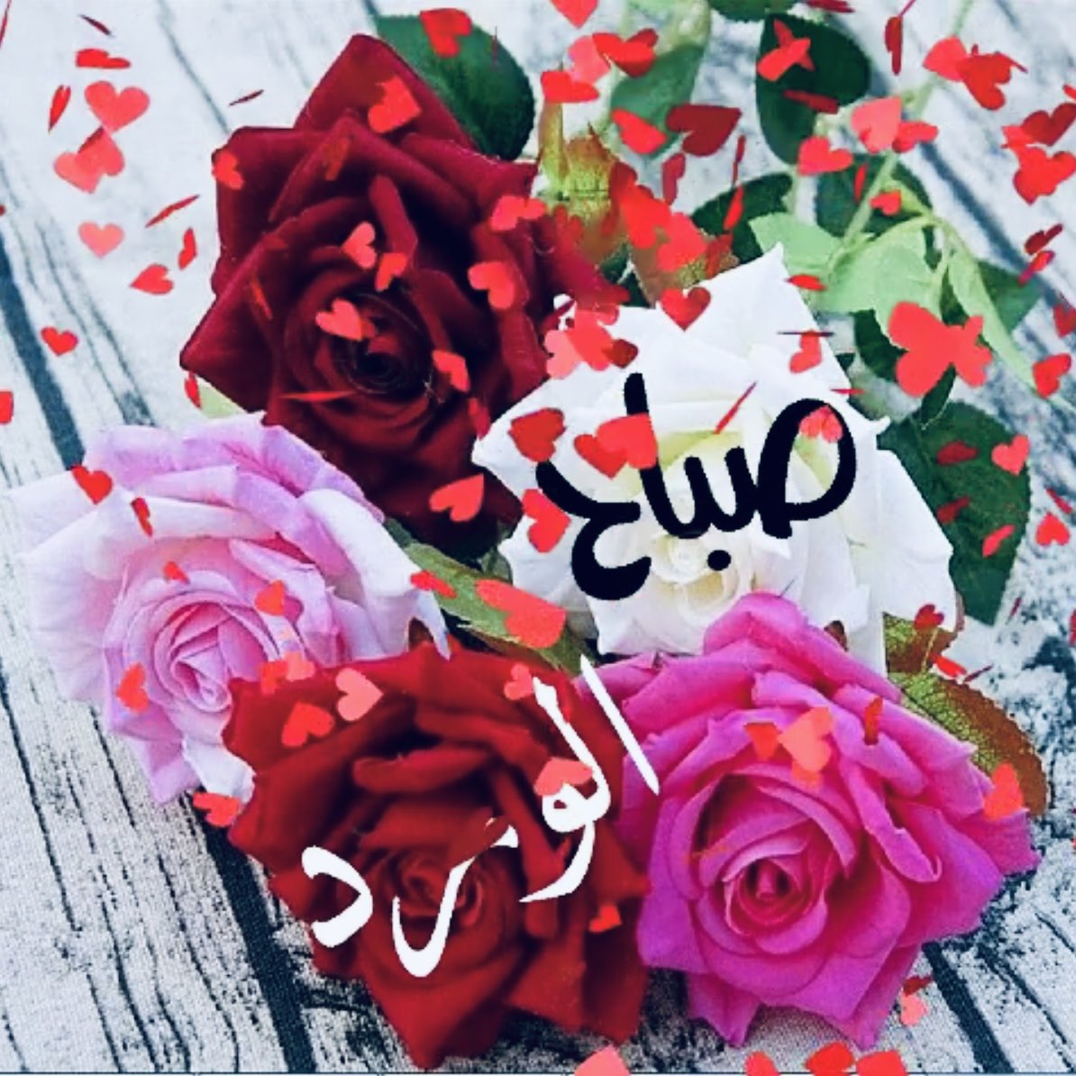 صباح___الخير  .🌹

        صباح الخير لأولئك الطيبين ؛
                 "أصدقاء الأيام"💔
         الذين لاينكــرون معـروفاً ؛
            ولايخدشون إحساساً ؛
         ولايتغيرون بتغير الفصول ؛

صباحكم راحة بال:::🥀🥀