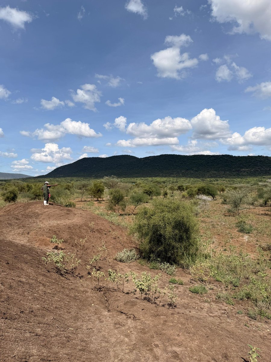 MailuaFarm tweet picture