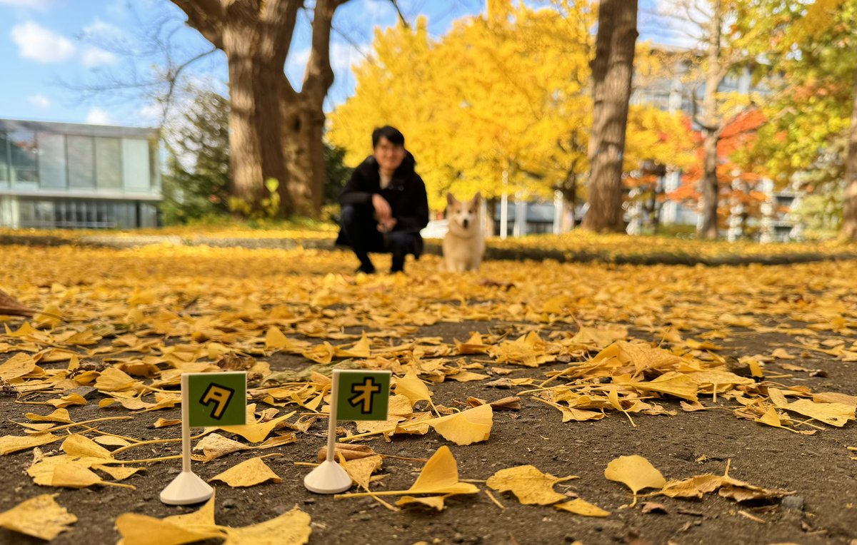 CorgiTao's tweet photo. ﾀｵ🍁 https://t.co/WpL1aKyDGW