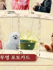 httpshawacom's tweet photo. 계화탕 투명포카 뭔데 뀨발
먹으면죽는예절샷될것같잖아 https://t.co/aleLl1enEP