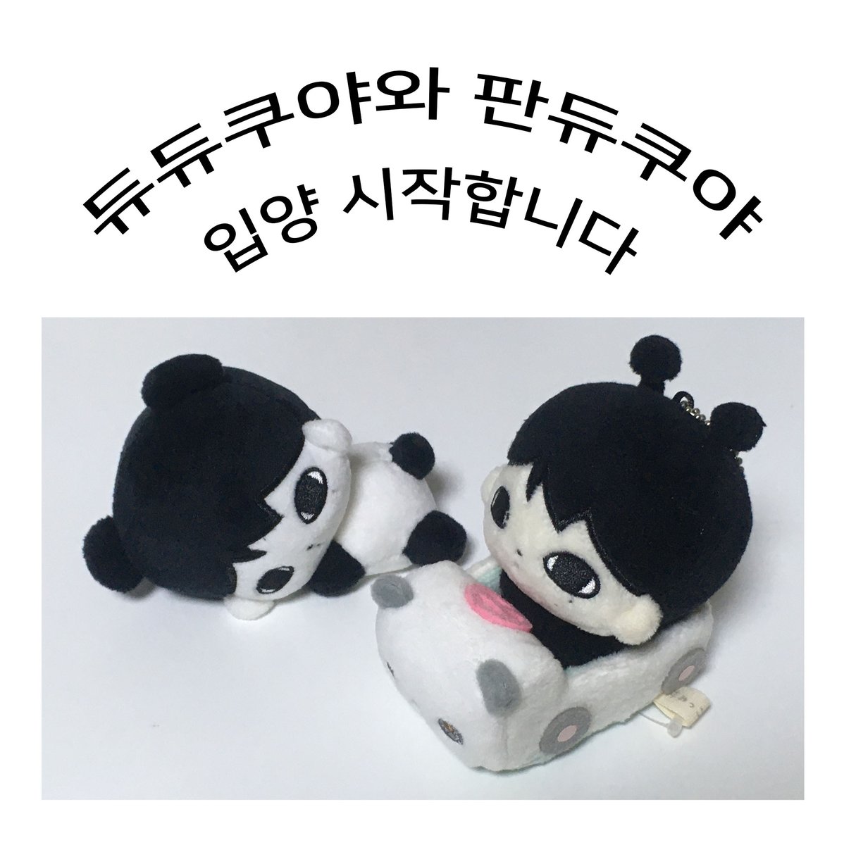 NCT WISH 사쿠야 10cm 인형   
˛ε♡з¸ 듀듀쿠야/판듀쿠야 판매 ˛ε♡з¸  

💌11/10 20:00 ~ 11/23 23:59 
🌀자세한 내용은 윗치폼을 확인해주세요!   
🔗witchform.com/deposit_form/9…

#rt 추첨 두 분께 판듀쿠야/듀듀쿠야(랜덤 1종)를 보내드려요♥︎   
#SAKUYA #사쿠야 #サクヤ #NCTWISH