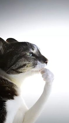 Mierd-Alecito wiwiwi tweet media