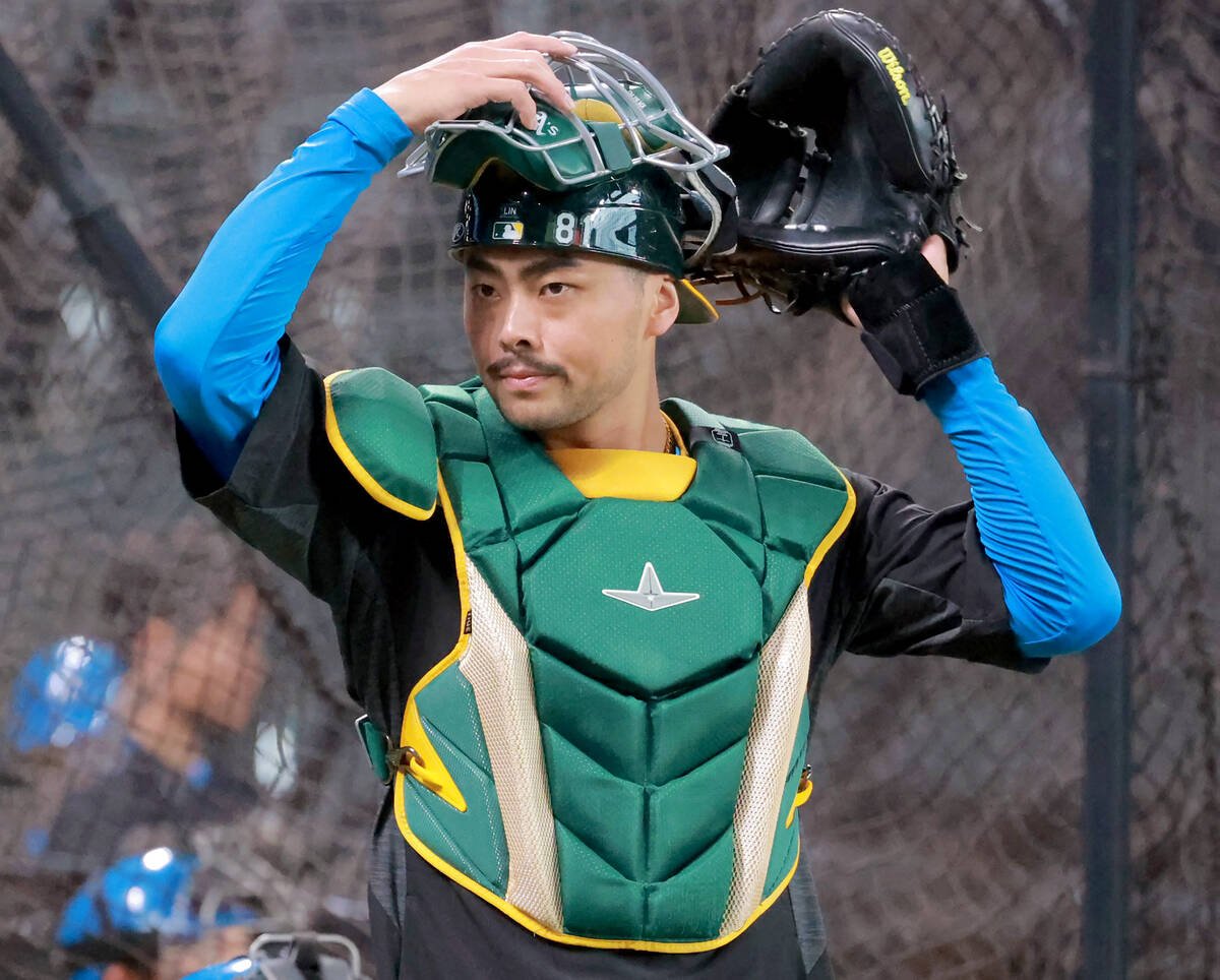 GaijinBaseball's tweet image. The Yokohama BayStars have invited Taiwanese catcher Lyle Lin to their fall camp. He was at Fighters fall camp last week.

Lin, who spent time in the D-Backs, Blue Jays, and Athletics systems, is likely to enter the 2026 CPBL draft.