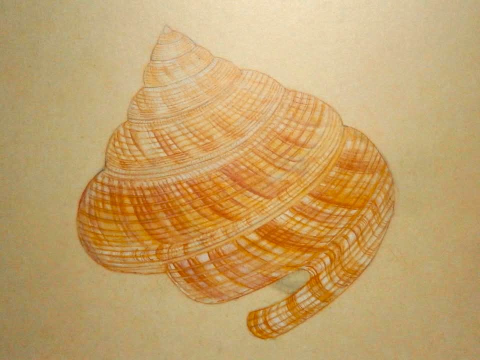 Turbjoke Museum on X