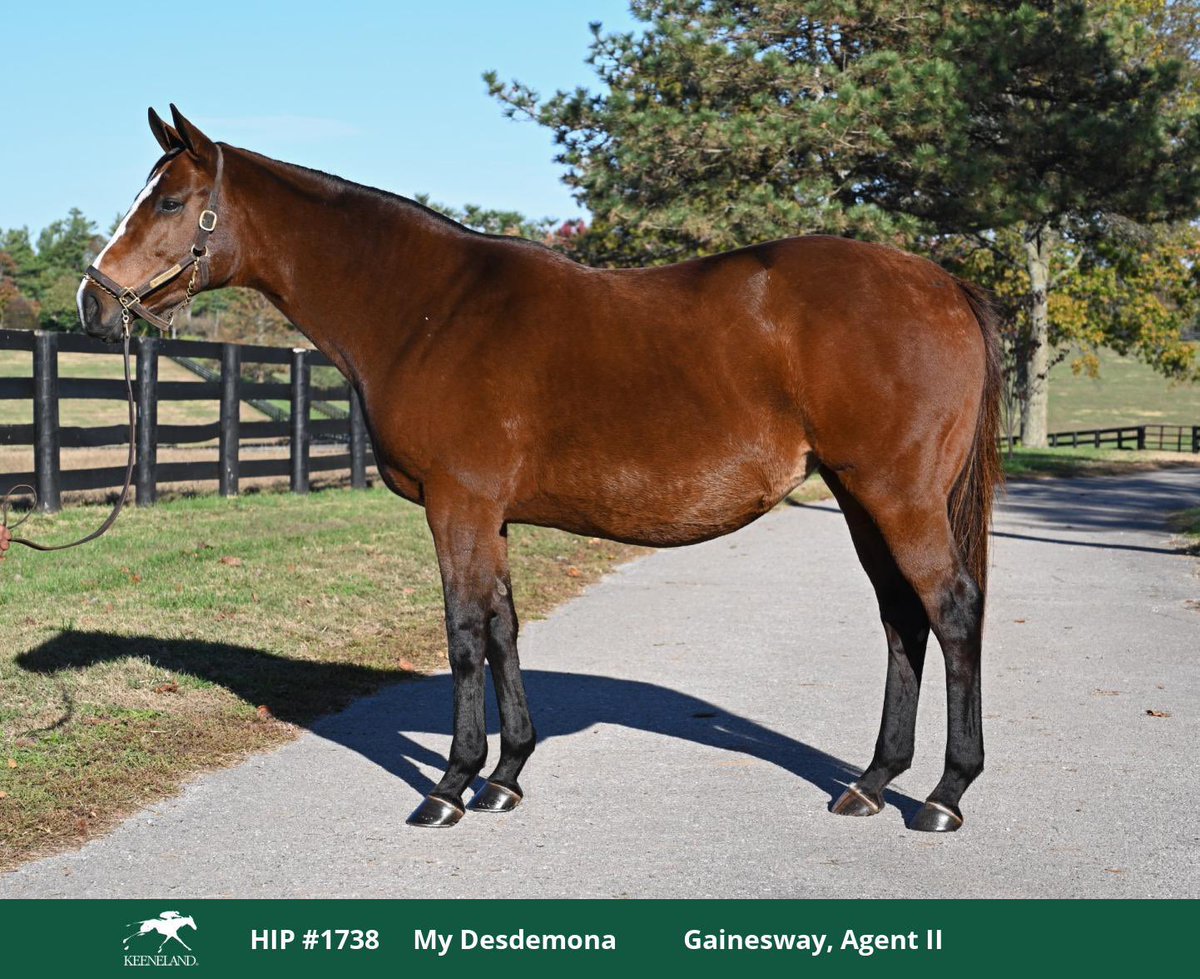 Amerika Birleşik Devletleri Keeneland Satışlarında  1738 Lot numaralı My Desdemona (Mineshaft -Wiscasset(By Kris)) isimli kısrak, Munnings (Speightstown) den gebe olarak ekürimiz kadrosuna katılmıştır.