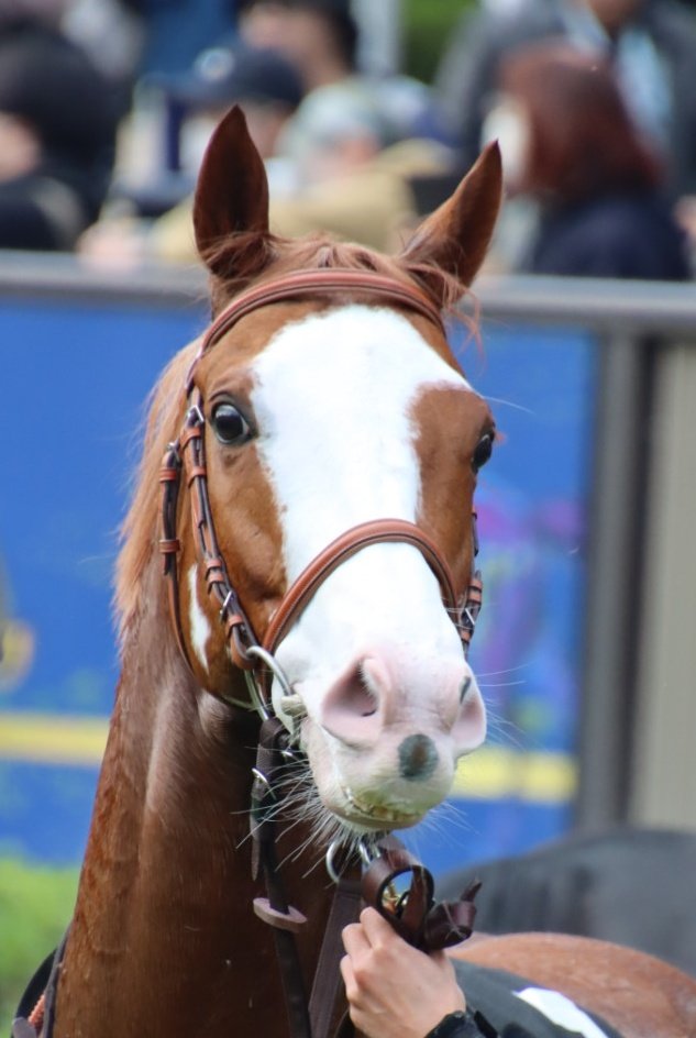 夕夏様 夕夏 on X