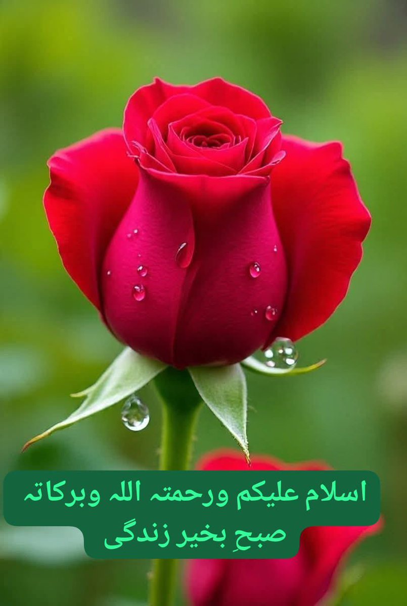 Muhamma57811656's tweet photo. https://t.co/rwifqVMuHG