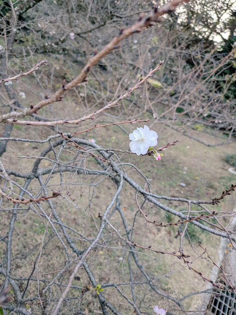 #60sエレジー 集中稽古開始っっ！！
今まで重ねてきたものをより良くより繊細に積み上げていきたい😊✨
人間誰しもが幸せな最期ではないかもしれないけれど、その道には必ず幸せがあったはず。
それを思える時間になればいいなぁ⏳️
ご予約⇒ticket.corich.jp/apply/400052/0…