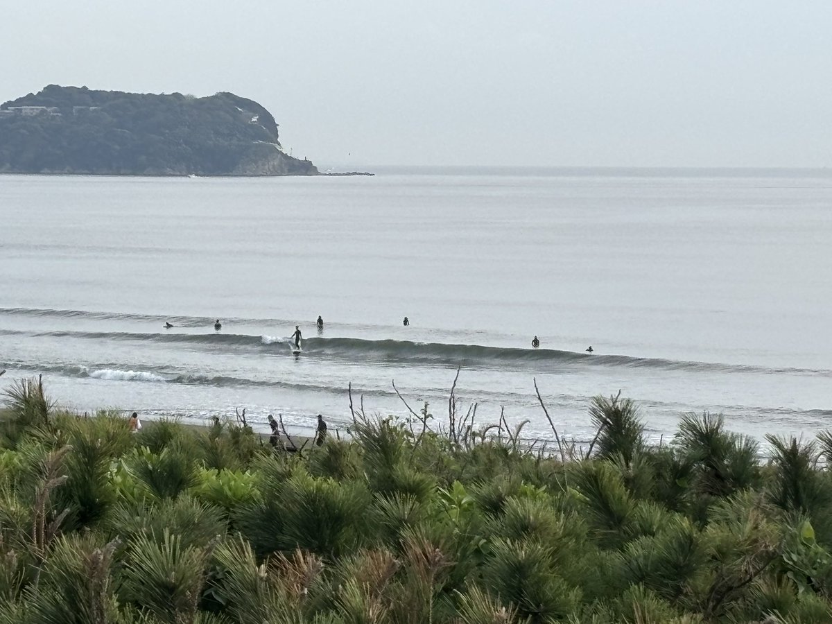 波乗りsammy (@sammy_s884sammy) / Posts / X