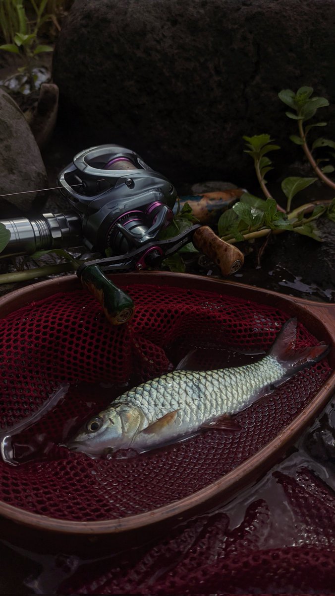 wildanja0L's tweet photo. stop buang sampah disungai!!!!!
mancing hari ini🌻
#streamfishing #fishing https://t.co/jpHKAbaUSC