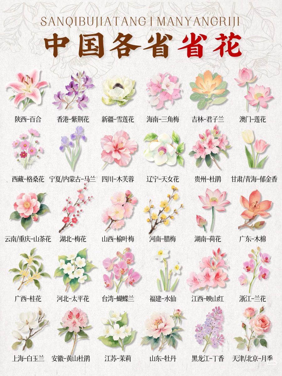 dngdngdng791117's tweet photo. 中国各省的省花 https://t.co/UWXg4QCY1D