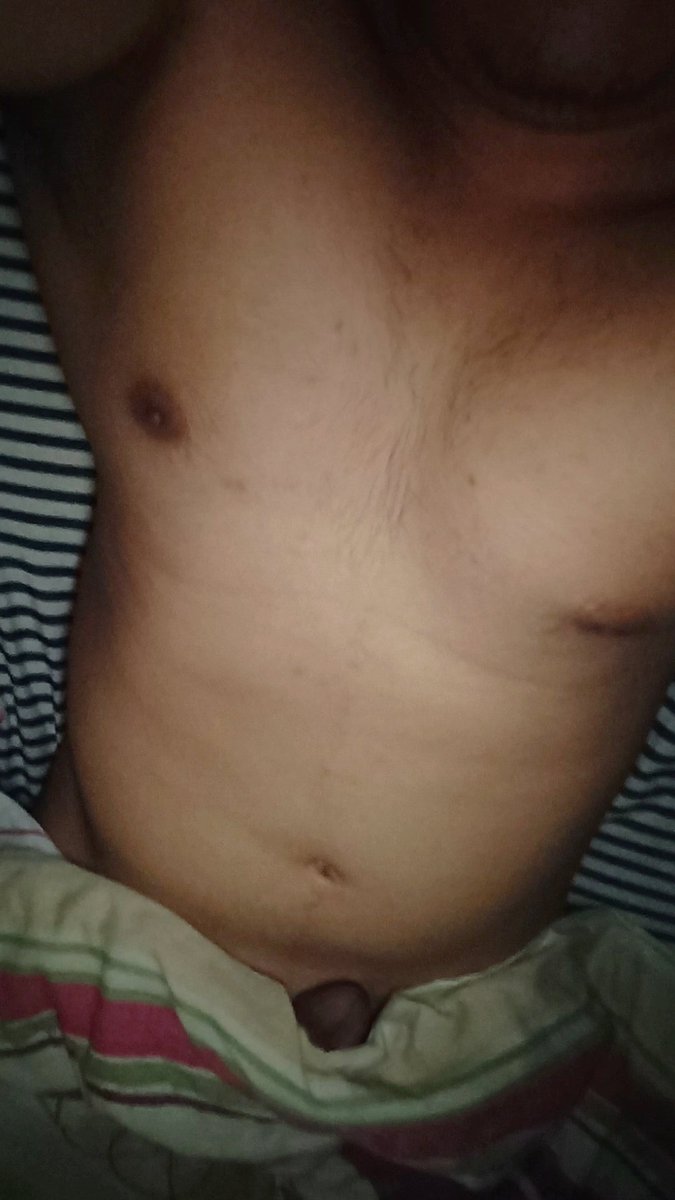 pigustoxyz tweet media