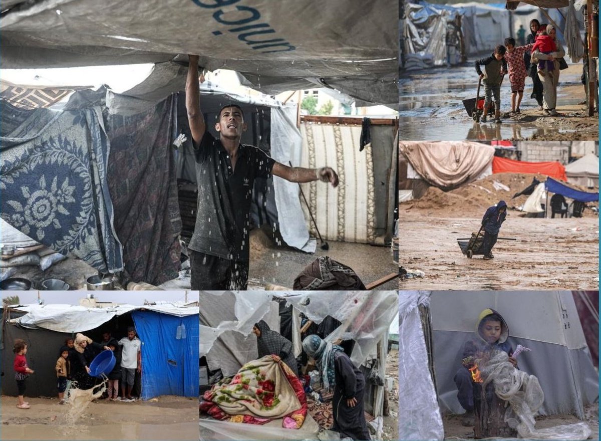 "Winter threatens hundreds of thousands of displaced people."
UNRWA: More than 6,000 aid trucks are stuck at Gaza’s gates as Israel continues to block their entry.