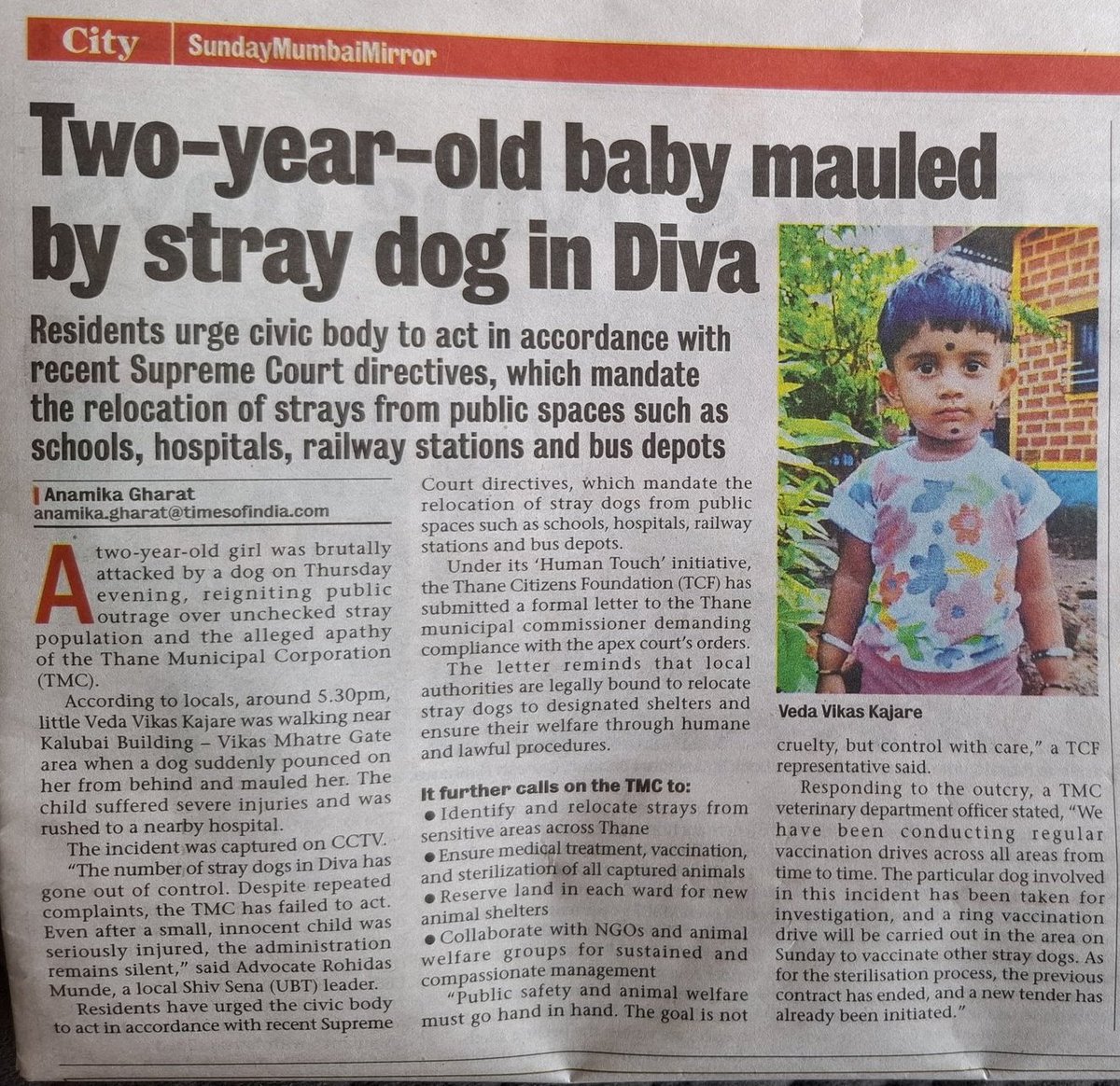 First stop rapes in the country, then talk about the dogs problem.

First solve the problem of pollution in Delhi then talk about the dogs problem.

First expose 'vote chori', dogs are not the priority.

Kutta premis has all the excuses in the world to protest these rabid dogs.