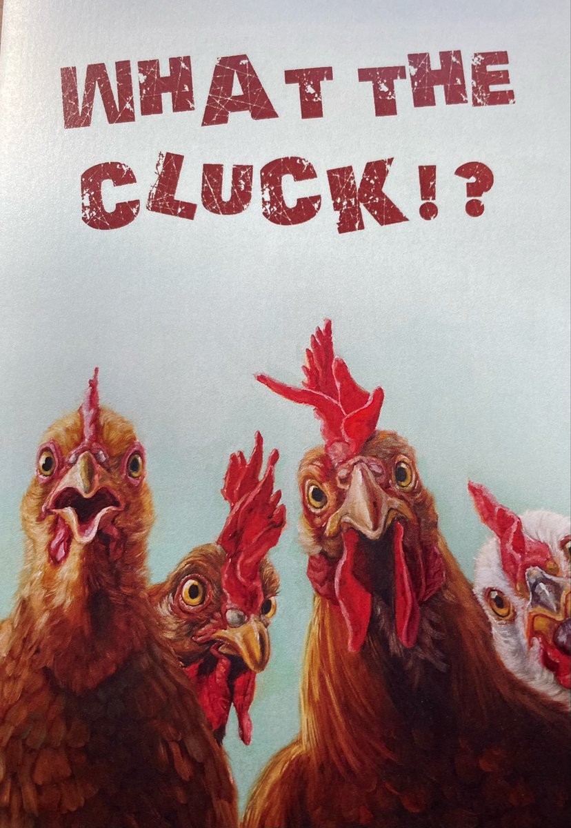 HorrorAndLaughs's tweet image. #ChickensOfX #ChickensOfTwitter: #FunnyHaHa