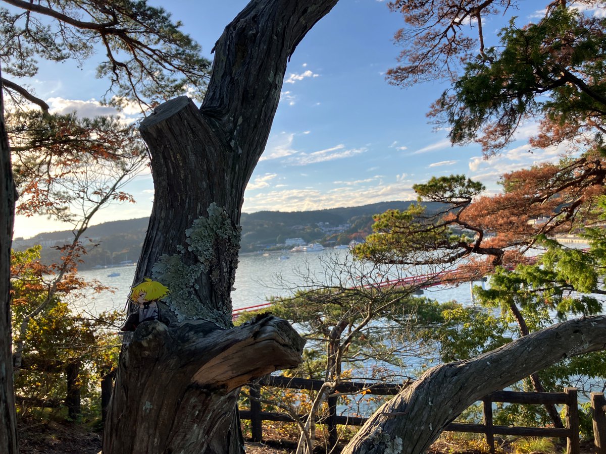 chocorax3's tweet photo. キュウゾウどこでしょうか写真撮るのが楽しかった https://t.co/VQbj8YAE77
