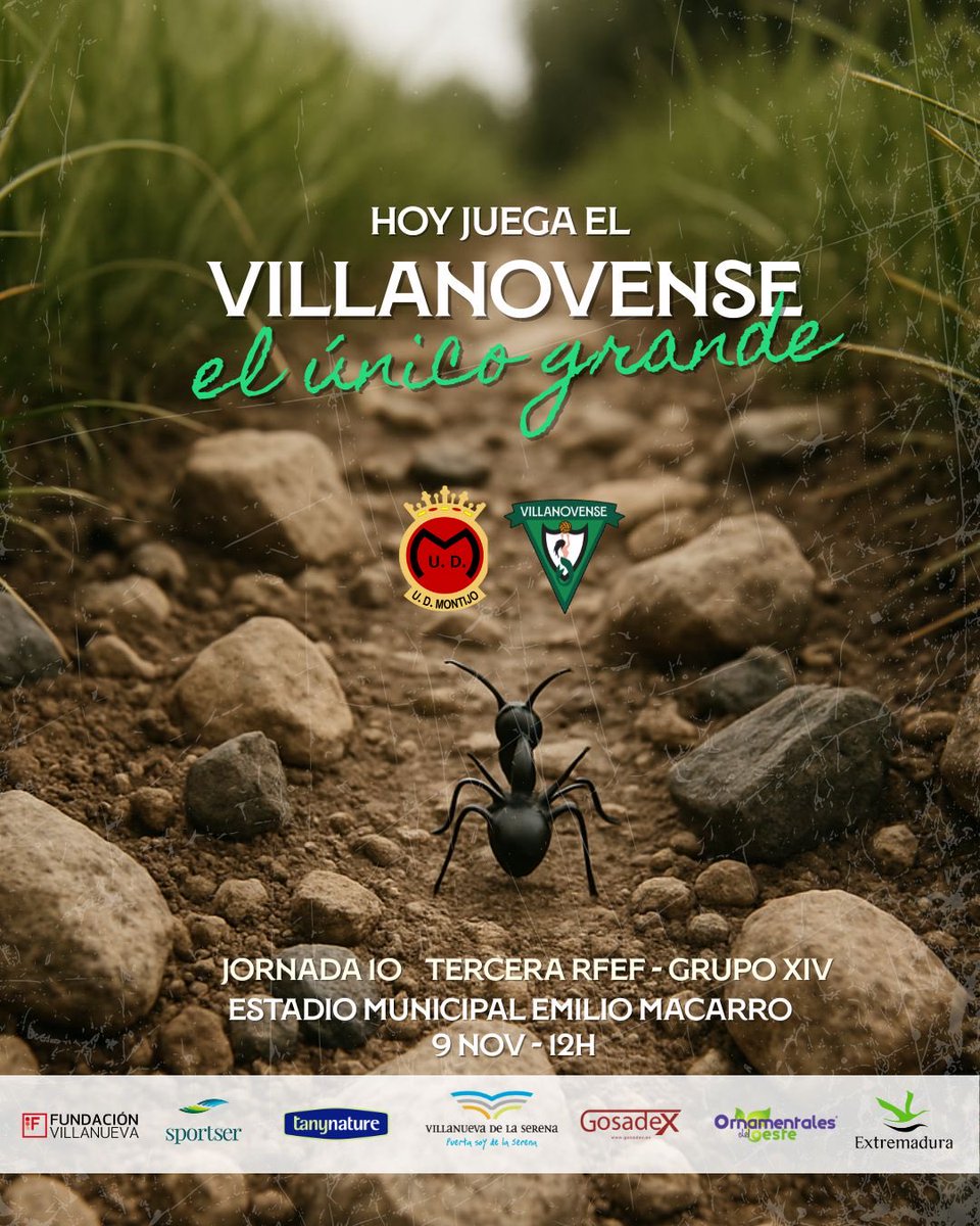 C.F. Villanovense tweet media