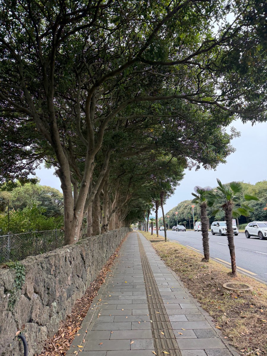 hyeokfs's tweet photo. HAECHAN BBL 🐻💬 https://t.co/u1ZMKR2Bwl
