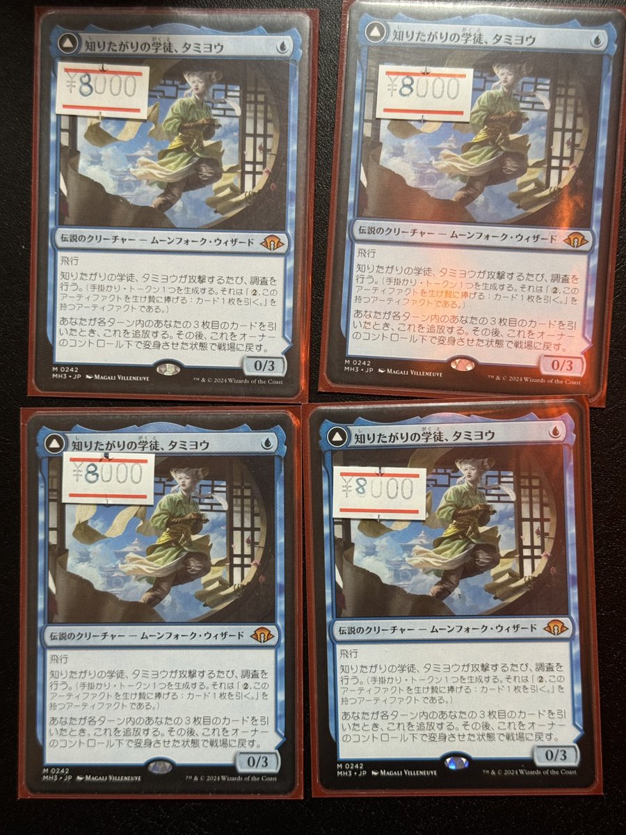 知りたがりの学徒、タミヨウ 2枚 ショーケース 英語 知りたがりの学徒