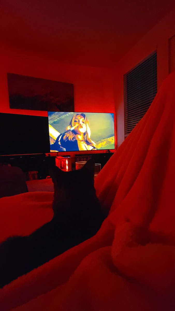 penguinzomby's tweet image. 