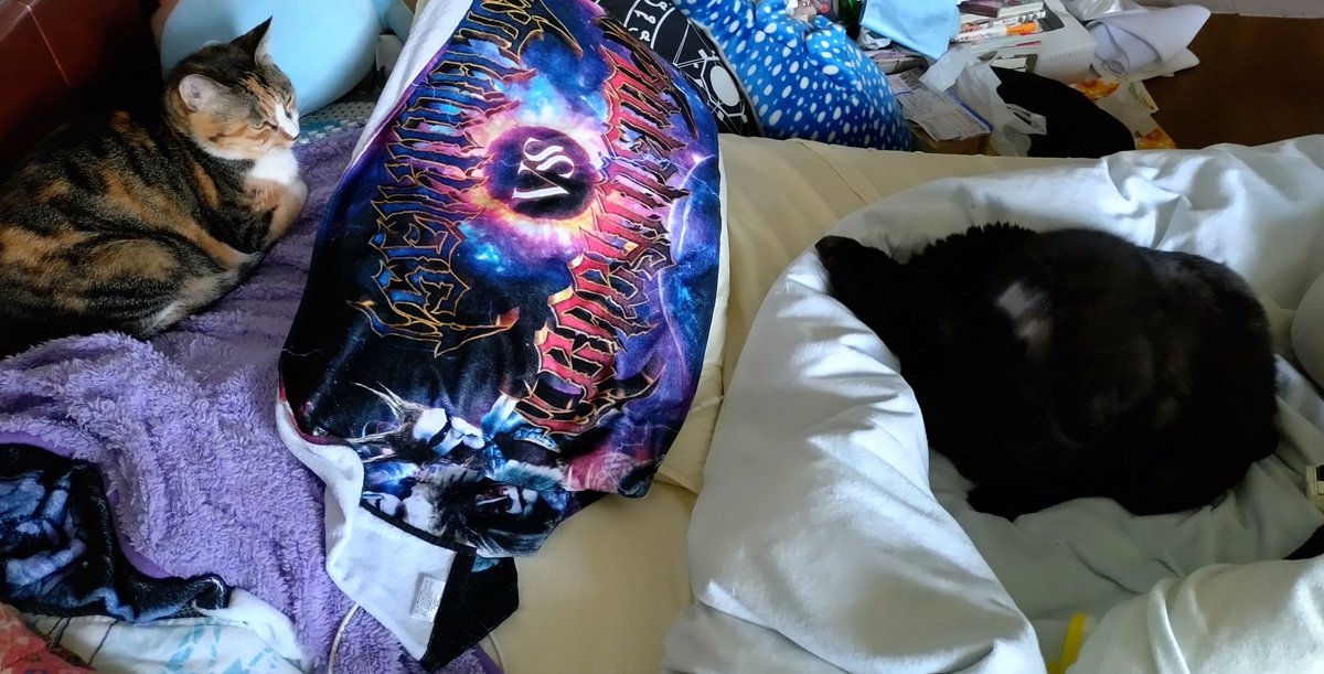 猫魔こま子@ 長崎 FINAL大阪横浜 on X