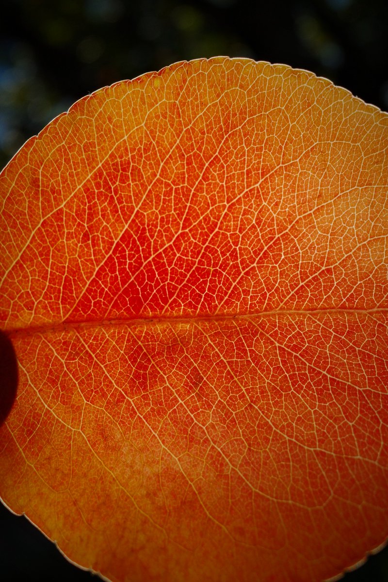 Bryan Navarro (@navarrobryan) on Twitter photo 