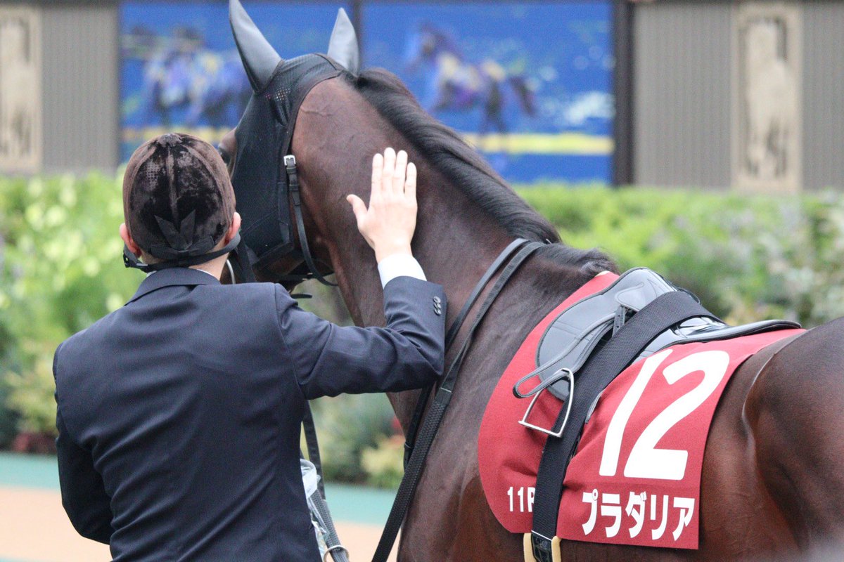 まゆみん🏇 on X