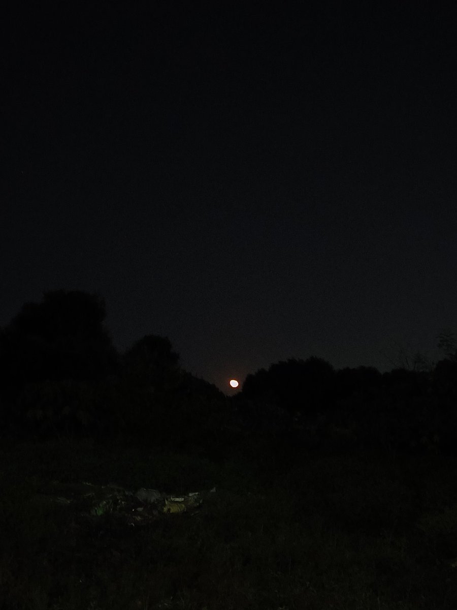 Moon spotting at the creek yesterday