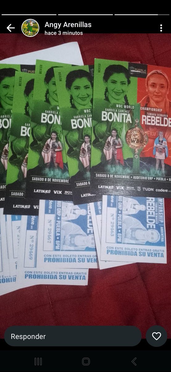 <a href="/BruceJulis/">Bruce Julis®️ AxolotlMEDIA®️</a> <a href="/PolloDeChedraui/">Pollo Ciberasediado</a> <a href="/AndarPueTlax/">El Andariego</a> <a href="/CazaBots4/">El Bot que opina</a> <a href="/Palillo191/">Dr.Palillo☆</a> <a href="/_Marcosantoss/">EL MEXICANO.</a> <a href="/Informante3532/">Informantepue</a> Así las multitudes por ver a <a href="/OficialBonita1/">Bonita Sánchez Oficial</a> pero sobretodo quien financió la publicidad por ver a una boxeadora q así como ella, puede ser otra mujer. Sin embargo no todas y todos corren con la misma publicidad al pelear(realmente)no solo ante la vida,sino ante las adversidades!