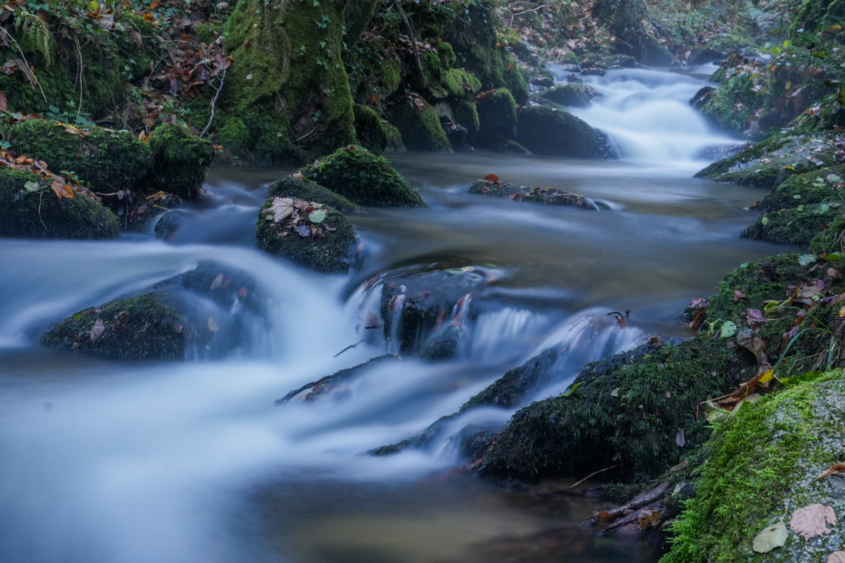 Wenn du durch eine lange, sehr schwere Lebensphase gegangen, und danach wieder bei dir gelandet bist und überlebt hast, dann spürst du jeden Tag überdeutlich, wie das Leben durch dich hindurchfließt.

Für Sie getestet!