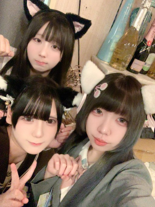 にゃんこメイドカフェ にゃんさんぶる