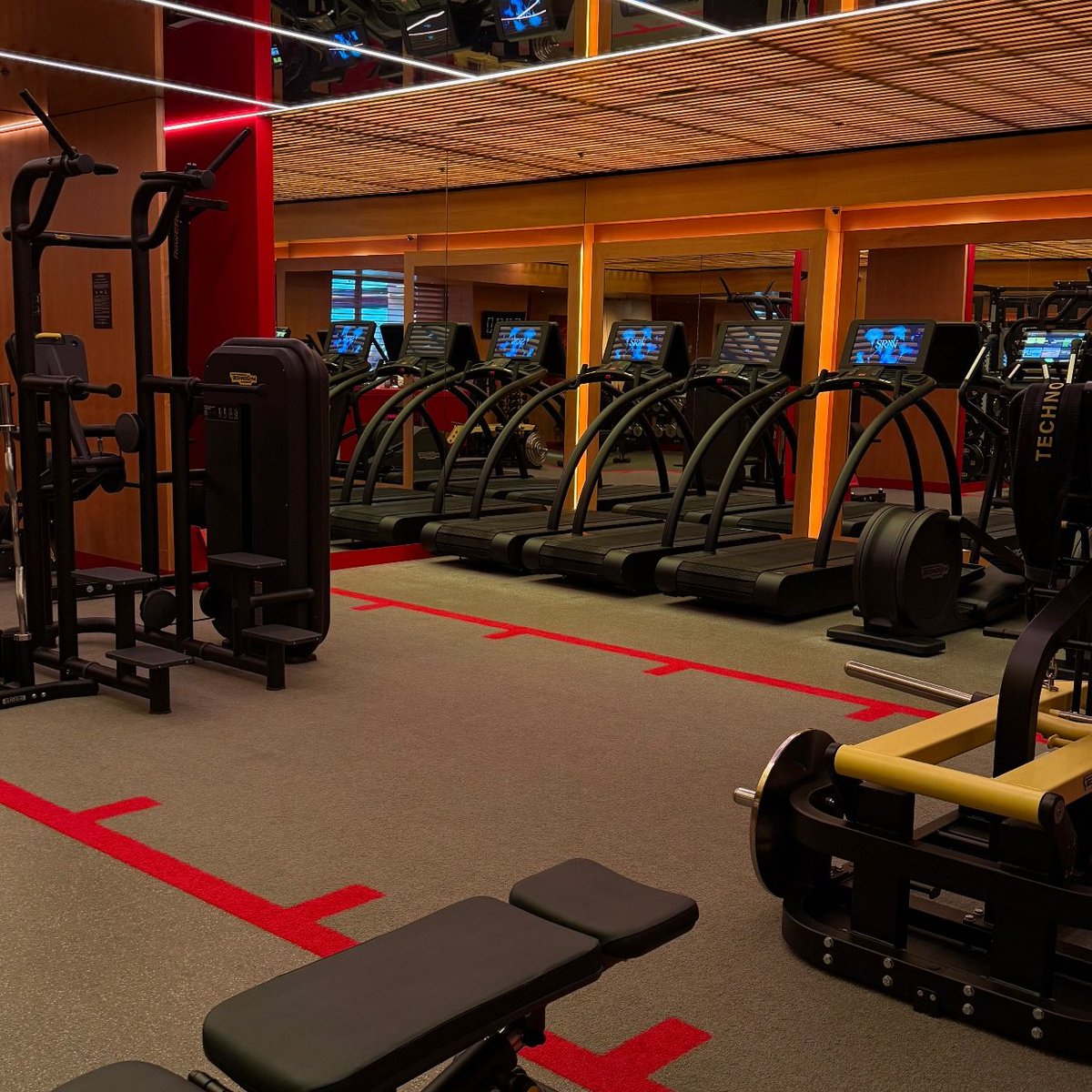 Langerius's tweet image. GM ☀️