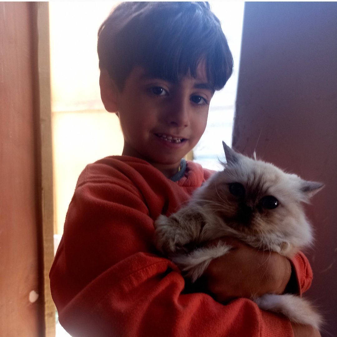 namer6549's tweet photo. I will not forgive anyone who sees this post and
does not support me with a single word and ignores me.
My cat and I need support. Please stand with us with love.🥹
https://t.co/36Zi92U1i2 https://t.co/h3FrVjiOf5