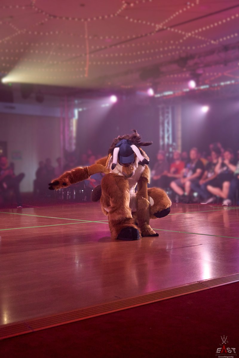 TorrosDR's tweet image. Here are a few more cool snapshots from the East XIII dance competition. #dancing_bull

📸@coolbigandy  

#breakedance #dance_competition #EastXIII #Torros #fursuit #toprock #powermove #downrock #bull #basecap #furry #fursona #dance