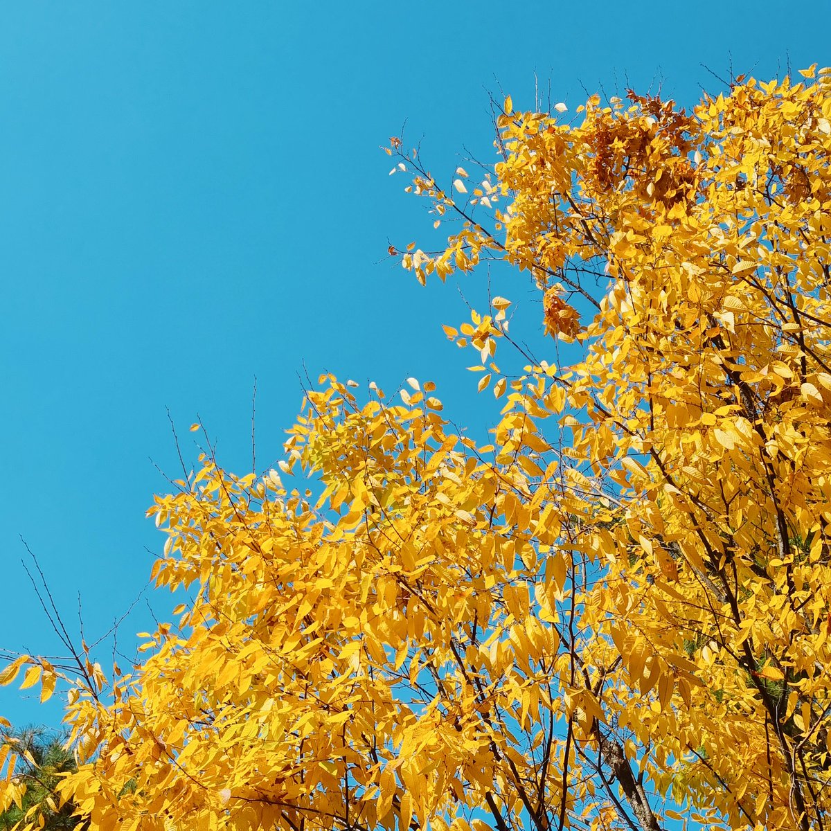 2025년 가을 🍂🍁