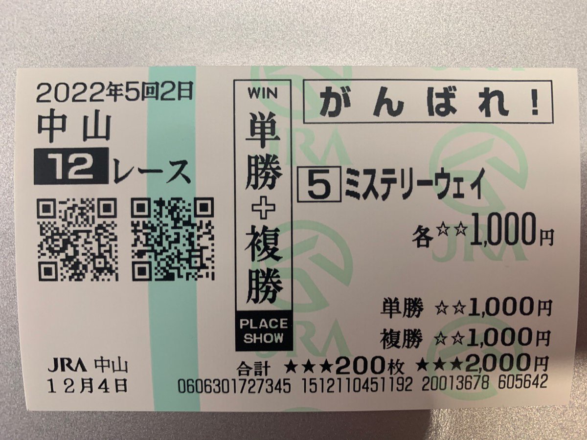 ryoei_privates's tweet photo. 人生初めて購入せしめた馬券がこちらになります。

#東京競馬場　#アルゼンチン共和国杯2025 #ミステリーウェイ　#松本大輝 https://t.co/1L04xvfIFy