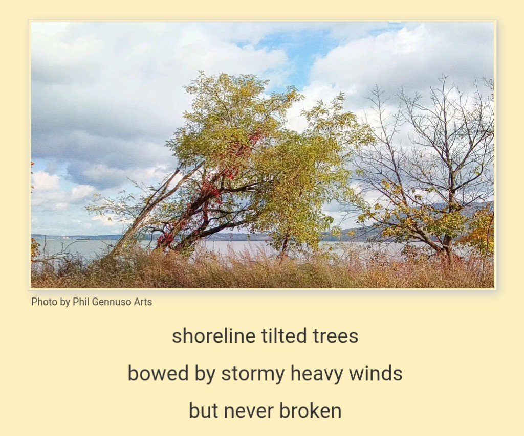 Never Surrender

Sunday Reflections

#Nature #Sunday #PhilGennusoArts