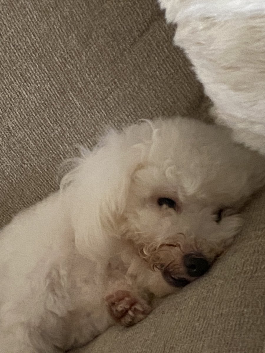 Ichiwo ngantuk 🤏🏻