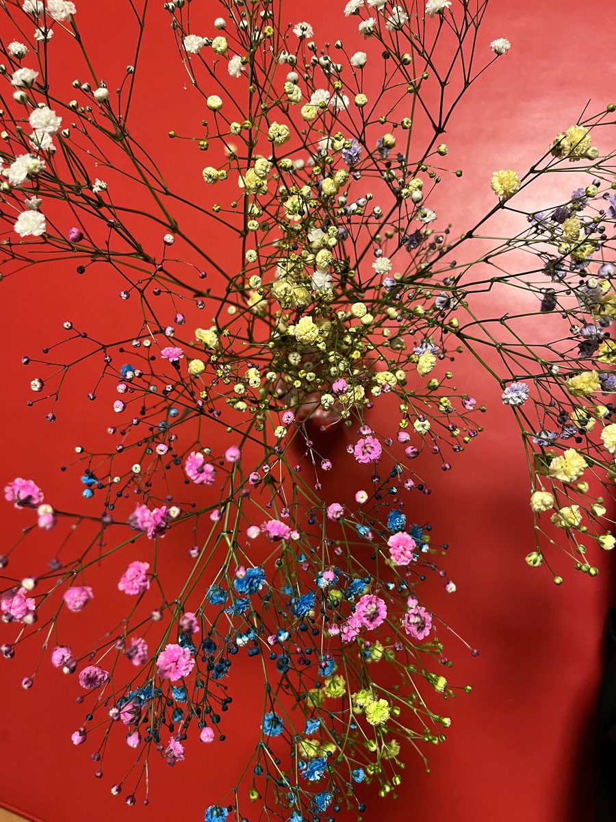 nako🎼🎤♪( ´θ｀) on X